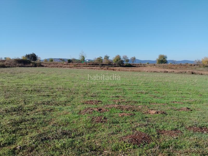 Foto 43fb853d-ced0-42ea-b45f-9b2bce084ec0. Finca rústica a n/a a Jerez de los Caballeros