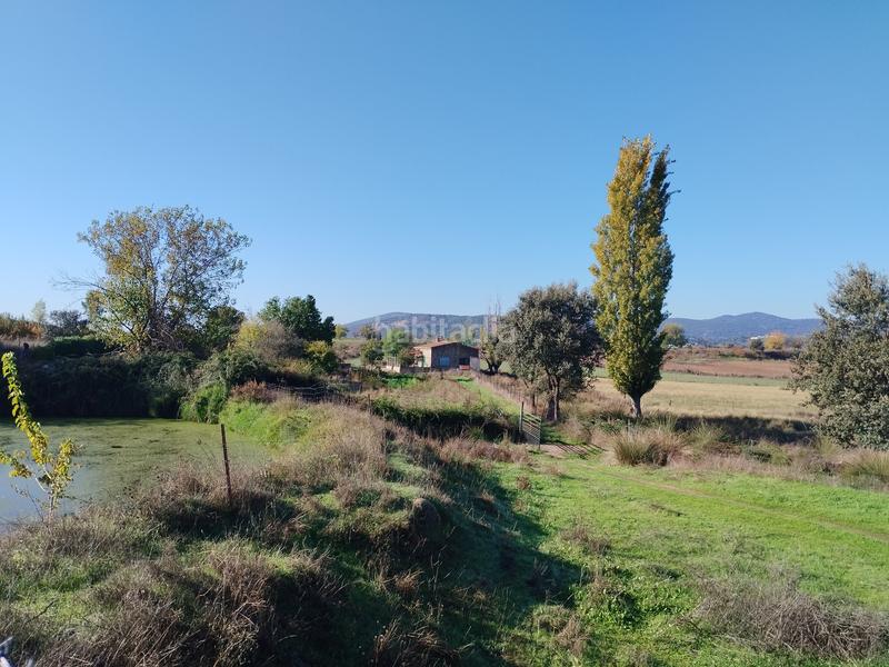 Foto bf893601-ab06-4feb-aa40-5404de393eb8. Finca rústica a n/a a Jerez de los Caballeros
