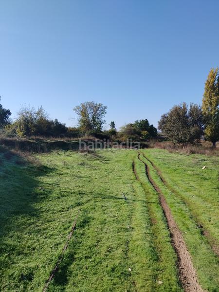 Foto d7f7fcbf-2159-4682-9bf5-da5ca809fd69. Finca rústica a n/a a Jerez de los Caballeros