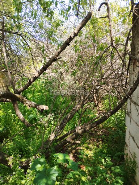 Foto 66e84eb3-f5ec-4235-813d-9f77d877359d. Casa a Puebla de Sancho Pérez