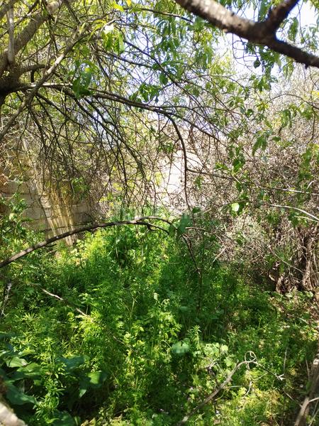 Foto 6786b141-d5e1-4f42-929b-4d094c9d1a99. Casa a Puebla de Sancho Pérez