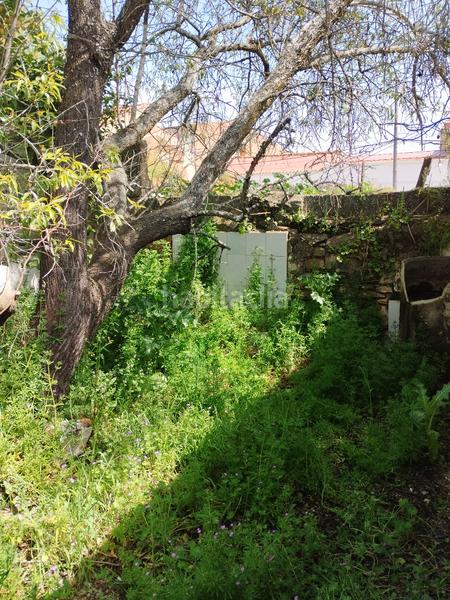 Foto 9854f7f5-9501-47ee-87d8-94488cee4cab. Casa a Puebla de Sancho Pérez