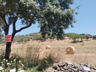 Finca rústica a Jerez de los Caballeros. Parcela rústica cerca de valuengo.