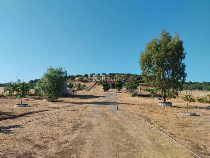 Foto ea8bb2cf-acb2-4e58-b026-387d1c65ad8d. Mas avec parking dans Atalaya