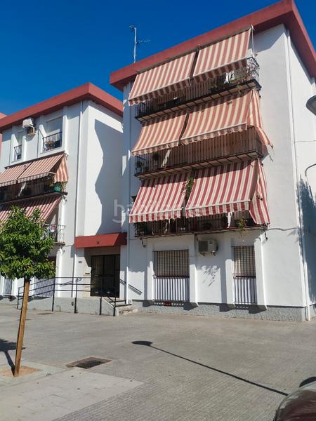 Foto 20501a13-cb8f-47d3-8fb1-5fc9e4cfa16e. Appartamento in Zafra