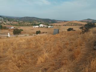 Finca rústica a Jerez de los Caballeros. Terreno cerca de jerez. olivos, luz, buen acceso