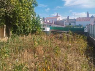 House  Calle derecha. Zona sta.catalina. a reformar. mucho terreno