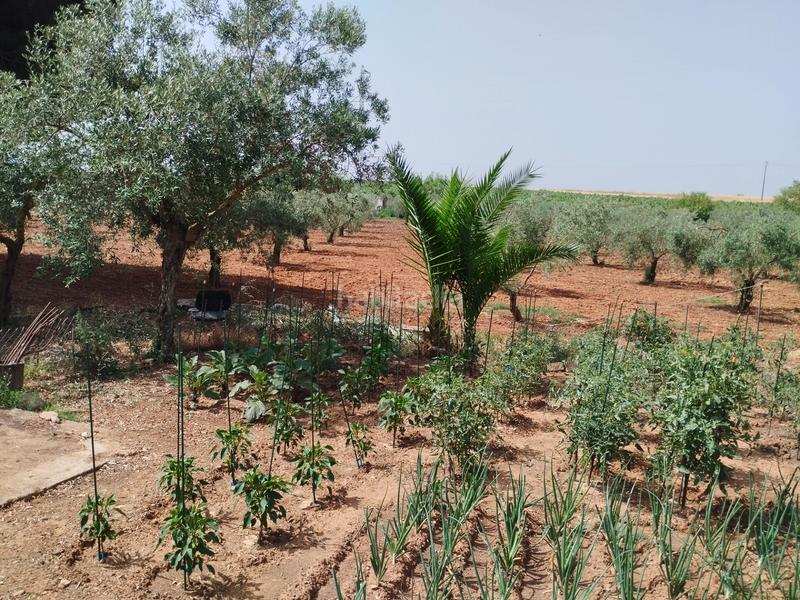 Foto 3f4f82d6-e5f1-4af9-b4f4-b11090957373. Casale con camino parcheggio piscina in Puebla de Sancho Pérez