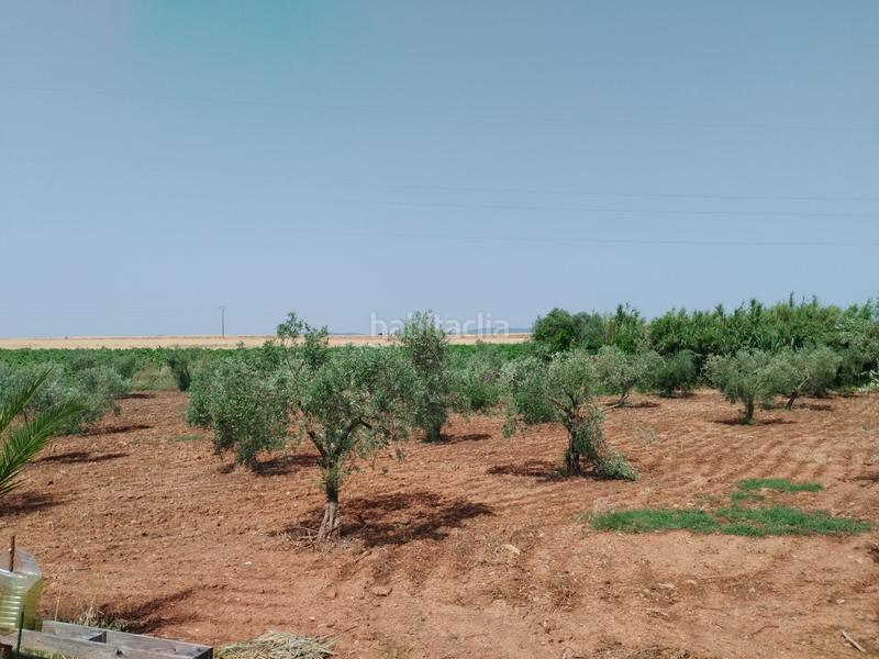 Foto 4ebd621d-e0b4-4286-920c-e462fc7221ae. Casale con camino parcheggio piscina in Puebla de Sancho Pérez