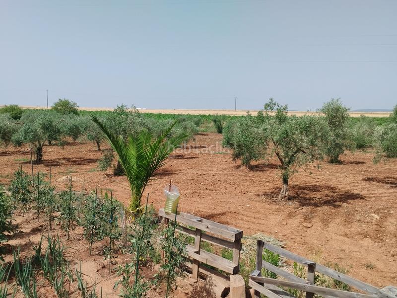 Foto 508e1107-bf50-4258-a60f-5c9d639b2924. Casale con camino parcheggio piscina in Puebla de Sancho Pérez