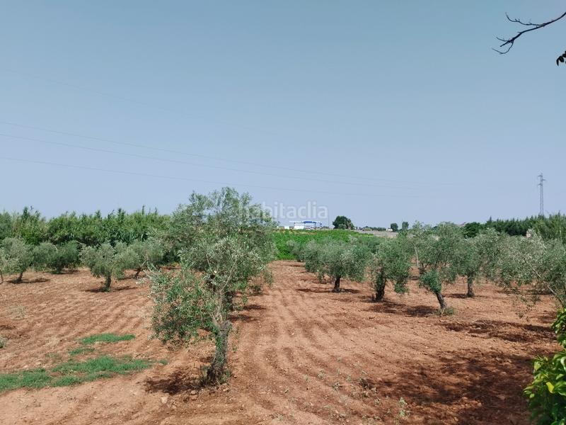 Foto 56f0c15e-400c-42e2-8e6e-cc01a3fac9ef. Casale con camino parcheggio piscina in Puebla de Sancho Pérez