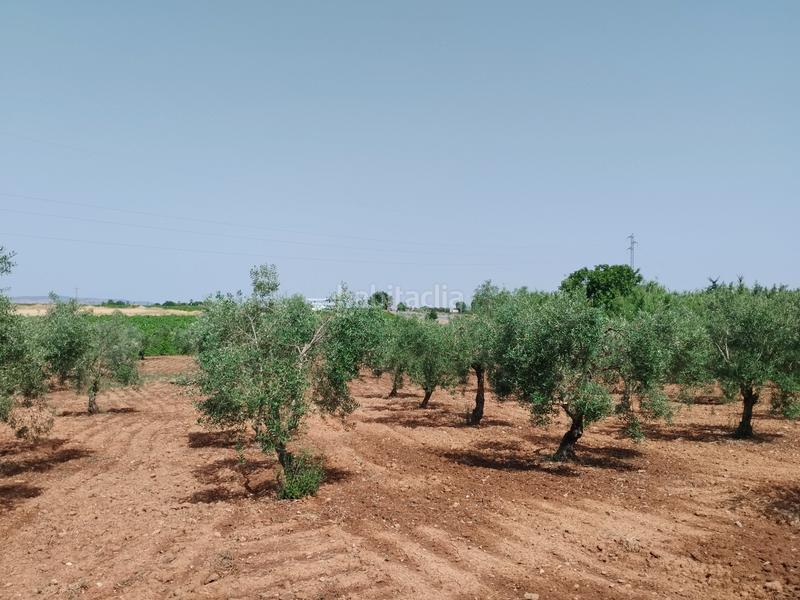 Foto 63b410ad-b85b-43c9-863d-a375e80b15a5. Casale con camino parcheggio piscina in Puebla de Sancho Pérez