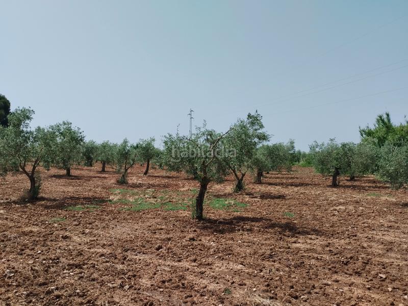 Foto 82933a04-80ba-41e7-b14c-4c3c59d2479e. Casale con camino parcheggio piscina in Puebla de Sancho Pérez
