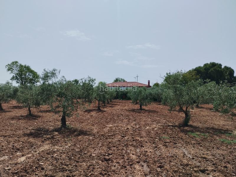 Foto 9c9f00be-cc93-4fe8-be95-343bb45d1f68. Casale con camino parcheggio piscina in Puebla de Sancho Pérez