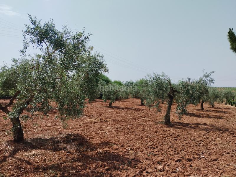 Foto a746d6fb-341a-4d27-b845-ec91423c4ed9. Casale con camino parcheggio piscina in Puebla de Sancho Pérez