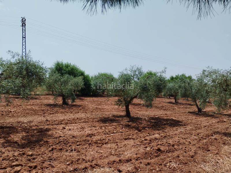 Foto b75adf9c-eda2-49b5-86cd-c81523a2e863. Casale con camino parcheggio piscina in Puebla de Sancho Pérez