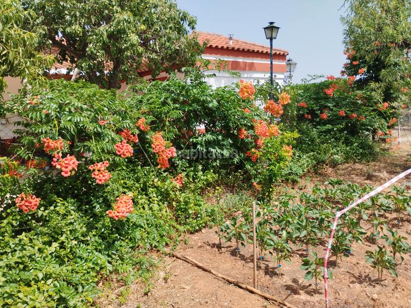 Foto b936b14d-26cc-4b16-9146-031b879fab0b. Casale con camino parcheggio piscina in Puebla de Sancho Pérez