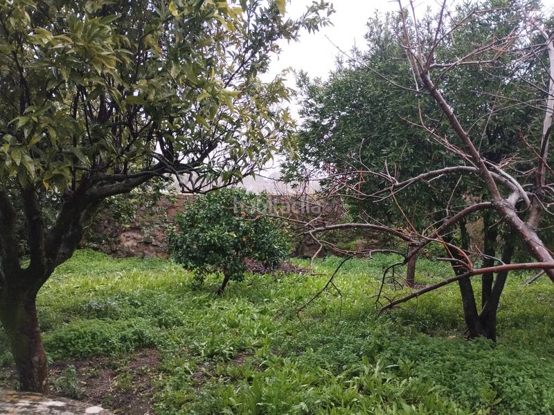Foto 775309aa-0821-4691-aeec-2a8628d061a4. Planta baixa a Jerez de los Caballeros