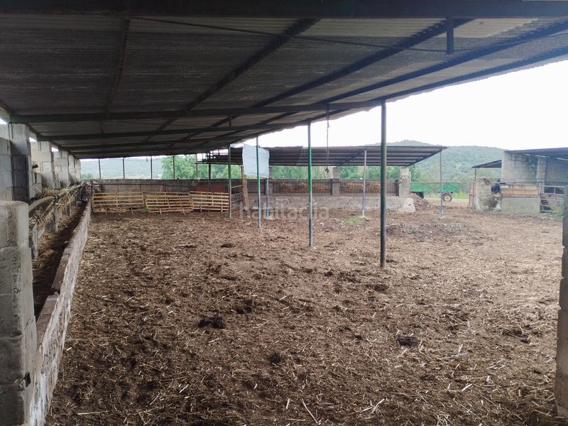 Foto 45690f79-c9f4-4086-9004-88698a832c82. Finca rústica a Jerez de los Caballeros