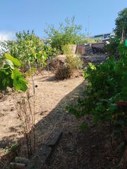 Haus in Jerez de los Caballeros. Casa con corral, patio, doblados. mucho terreno