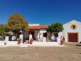 Country house in Zafra. Casa rústica. terreno 19000 mt. luz, agua, alberca, garaje