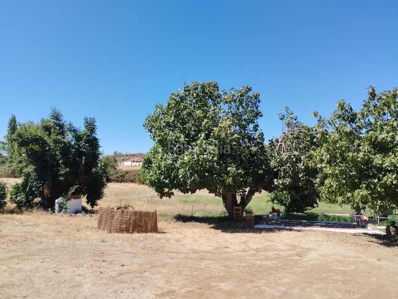 Foto ed77f3e0-a5d0-4013-8ef3-d1f9aab2230f. Masia amb xemeneia aparcament piscina a Zafra