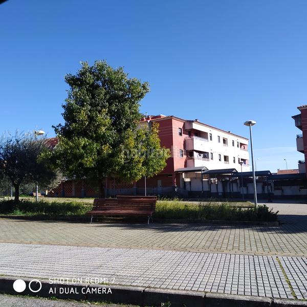 Foto 9dc93229-db55-45e9-aa33-a7b6c7e1c11d. Terrain résidentiel dans Zafra