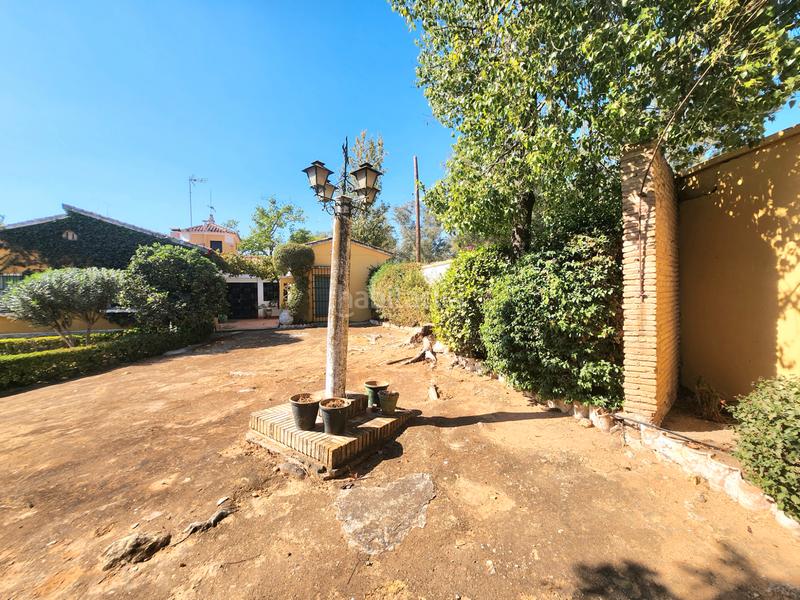 Foto 007f9c01-dba6-40b7-b3b1-e413559b9449. Xalet a carretera alcalá-utr kilómetro 161 52 a Oromana Alcalá de Guadaira