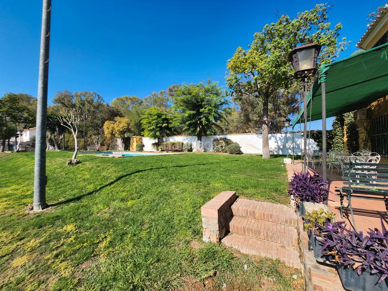 Foto 5bb03542-dc06-4977-ab63-a8b0fb0f77bc. Xalet a carretera alcalá-utr kilómetro 161 52 a Oromana Alcalá de Guadaira