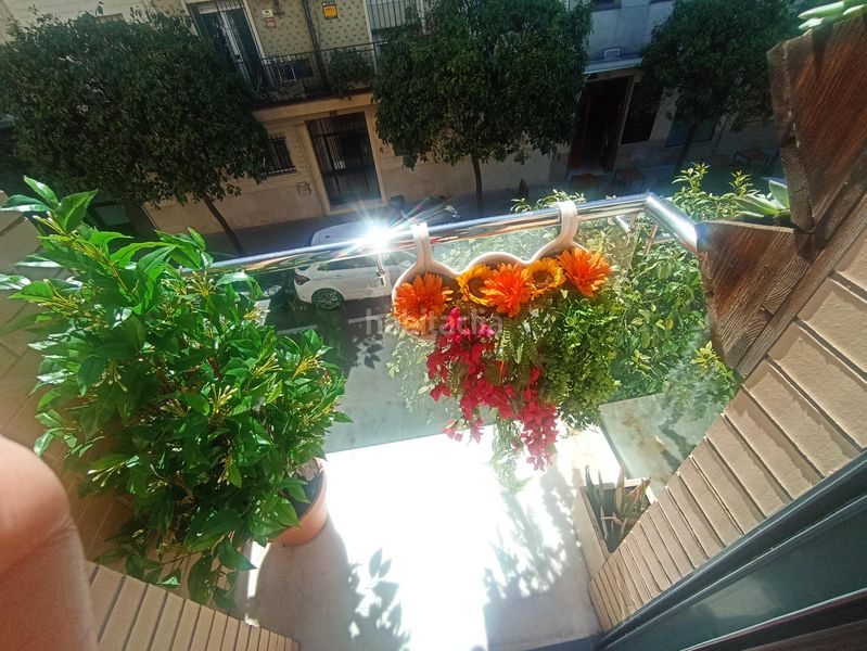 Foto db915d08-5bca-42c5-b43b-2a98c6690b19. Pis amb xemeneia aparcament a La Buhaira Sevilla