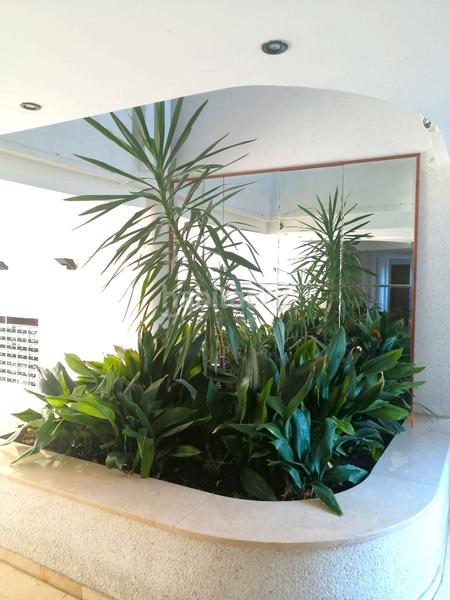 Foto 677fa629-50e7-41c8-9a6b-9a74fb71f885. Pis a calle del esperanto 27 a Levante Alto Benidorm