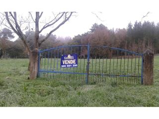 Casa a Po-6502. Finca con buena situación.