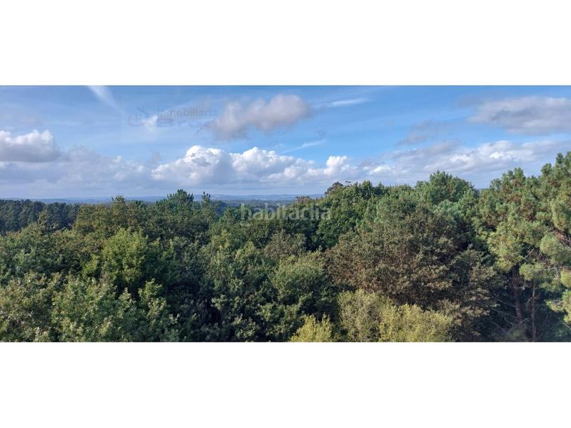 Foto 1eb44454-f584-4350-b6c0-457a2ffdf2c0. Pis a Estrada (A)