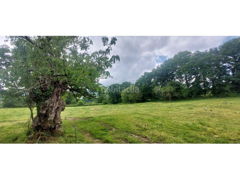 Foto fa53d613-8e47-4aee-9476-4b21d46562cf. Casa a Silleda
