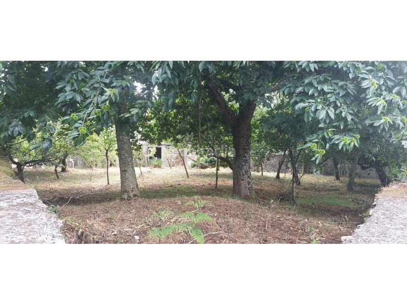 Foto 06abb787-abaf-417d-aa4e-1581b151b58a. Masía casa rústica venta en Lalín