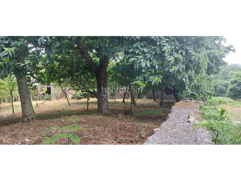 Foto 54f45479-0e60-4c38-a6d6-491e81e65931. Masía casa rústica venta en Lalín