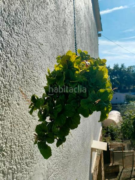 Foto 2ef60978-0f00-4407-83a1-0d252055beed. Chalet torre en venta en Massanes
