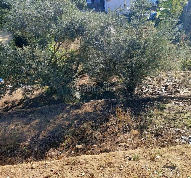 Foto a2c10f61-ef36-4b23-9c3e-89419ad4718e. Chalet torre en venta en Massanes