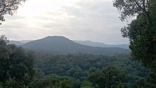Terreny residencial a Fogars de la Selva