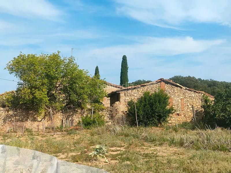 Foto f25674ff-f67f-45e7-848c-30670b28a271. Masia a Sant Feliu de Buixalleu