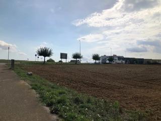 Terreny residencial a Riudarenes. Solar industrial en venta en riudarenes