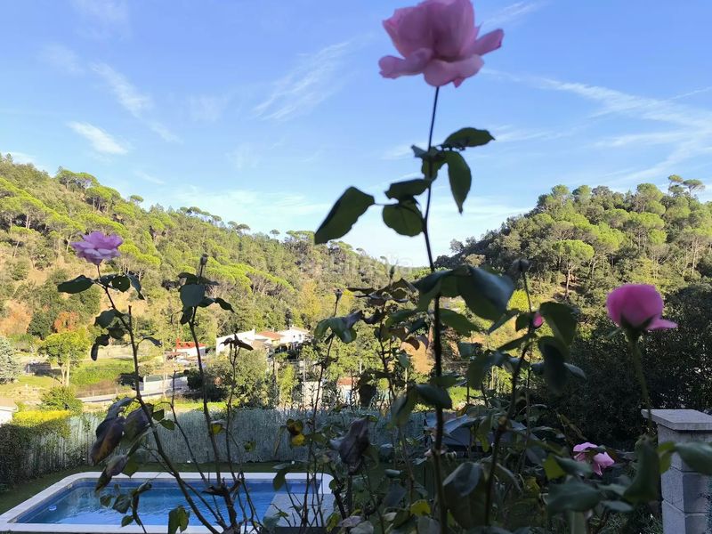 Foto 3bc9ac12-9842-4218-898c-bfca78aee47f. Xalet amb piscina a Massanes