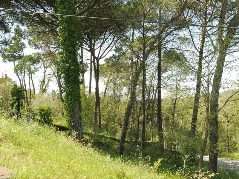 Foto 22beaff0-030d-4b07-885e-e665ed2de838. Terrain résidentiel dans Residencial Park Maçanet de la Selva