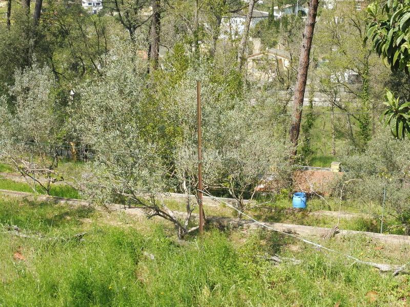 Foto 9138a5fa-f399-48c3-aad6-1e4af393edc6. Terrain résidentiel dans Residencial Park Maçanet de la Selva
