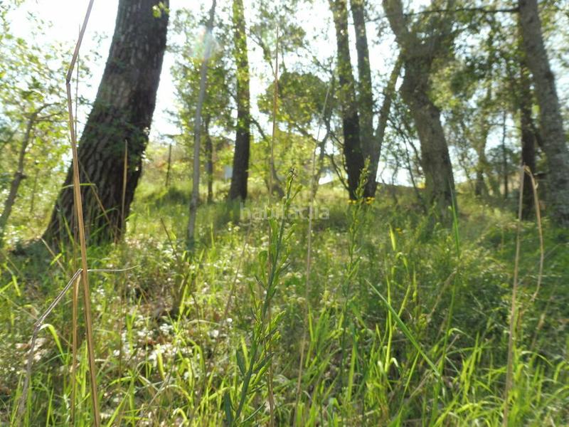 Foto aefe047b-fd4b-441e-baab-037deaa758a8. Terrain résidentiel dans Residencial Park Maçanet de la Selva