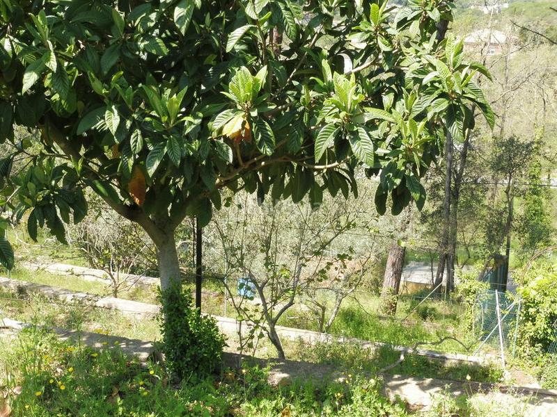 Foto dd853fbc-2249-4f90-bd56-d7a8eadd1c4f. Terrain résidentiel dans Residencial Park Maçanet de la Selva