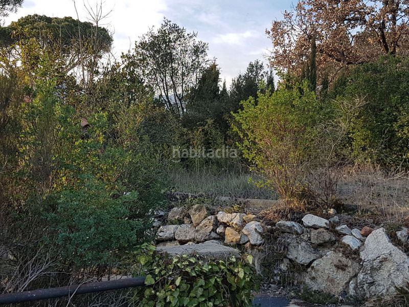 Foto 560a121e-d43d-4b58-88de-ecb722c009bb. Terreny residencial a Sant Celoni