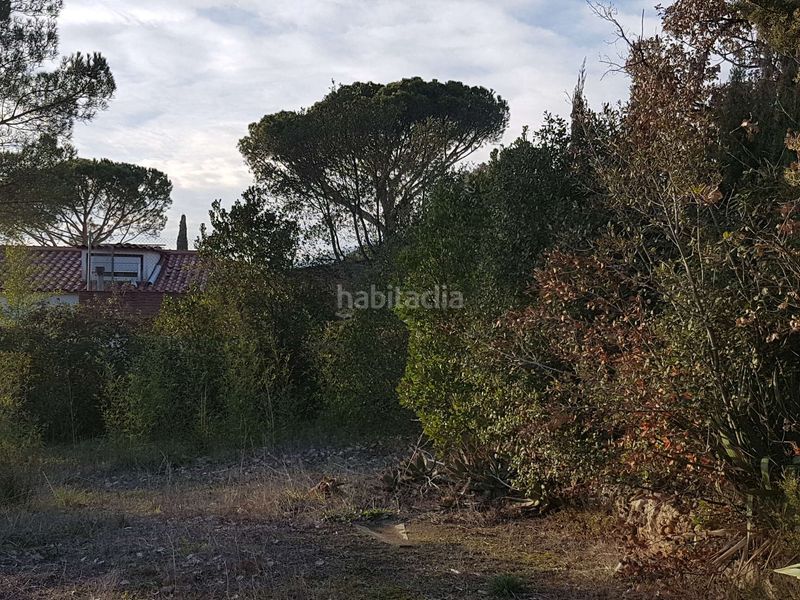 Foto e91c806d-bd1d-4708-8dbf-502c5998fe2b. Terreny residencial a Sant Celoni