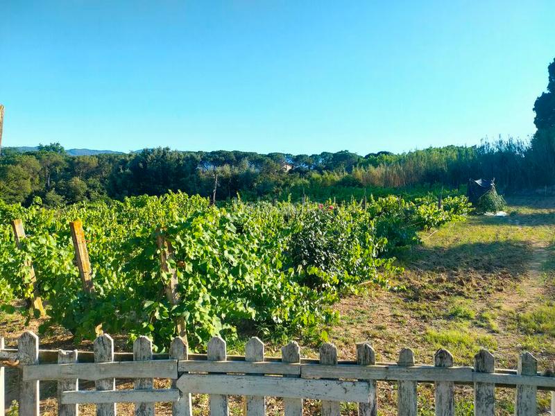 Foto a2abc02e-e354-4b70-ad31-a842b34d23bc. Masía  en venta en Massanes