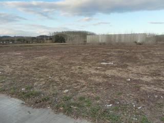 Terreny residencial a Massanes. Terreno industrial en venta en massanes